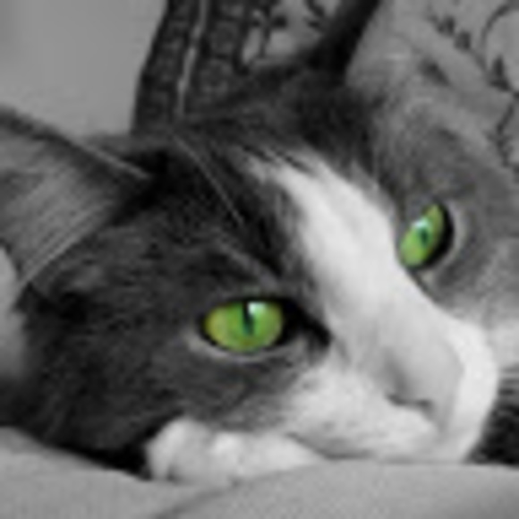 Meet your Posher, Cathy - Picture 1 of 1